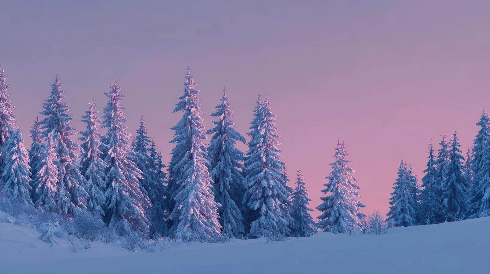 Snow-laden pine forest against a pink dusk sky, for Numminen Advisory fractional CFO services