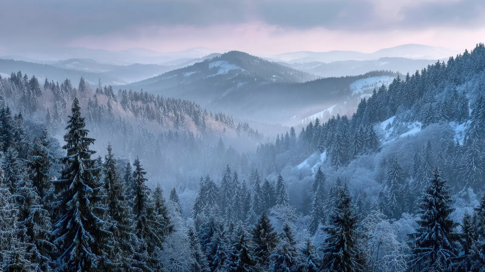 A forested winter valley under mist, for Numminen Advisory group consolidation services